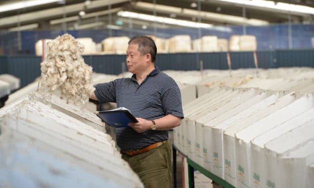 Australian wool prices post modest gains