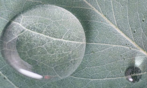 Current status of fibre demand in textile industry