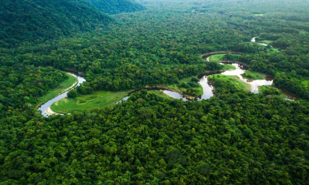 Kontoor committed to preserving forests