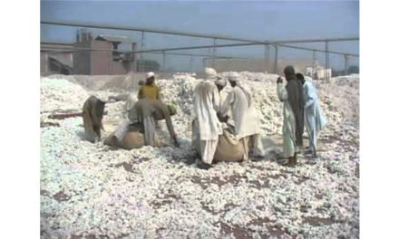 Pak association demands withdrawal of duty, taxes on cotton import