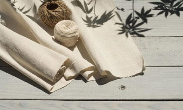 Cannabis textile plant to be set-up in Kazakhstan