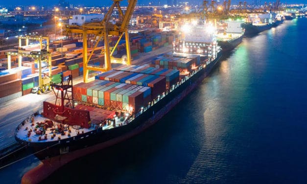 India to set-up mega parks near ports