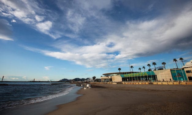 Maredimoda growing and aiming for sustainability