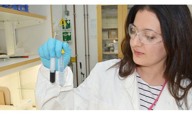 Scientist develop ways for degrading the dyes