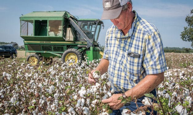 BCI, IDH unveil new challenges