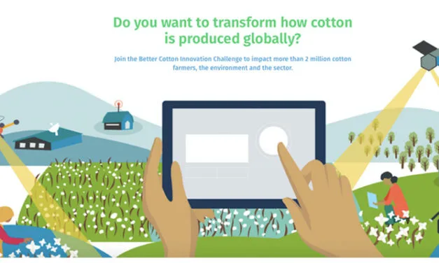 Sustainable cotton challenge launched