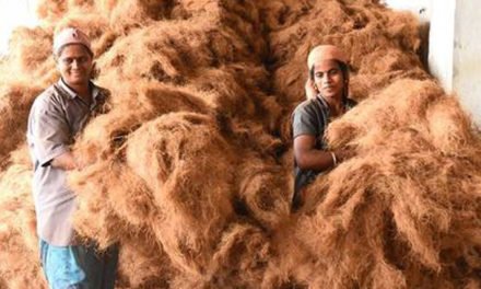 Coir units to make products under cluster project