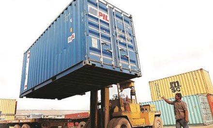 Govt. working on strategy for import rules of non-essentials