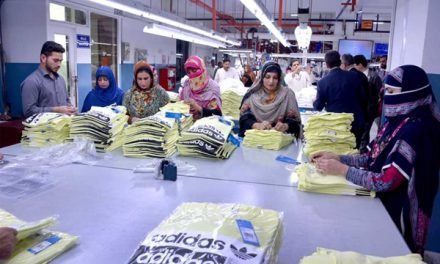 Knitwear exports take lead, jump over 7 per cent