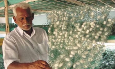 Indian Govt. looking to become self-reliant in silk sector in next two years