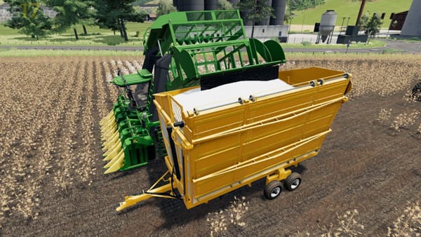 High exports keep cotton prices on rise in February in Brazil