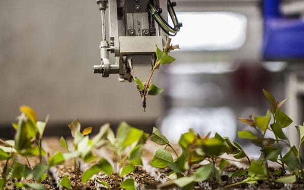 New Spinnova venture to boost commercial prospects