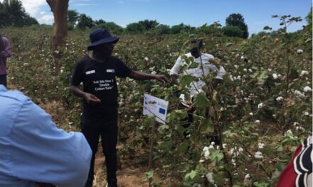 ICAC, ITC sign agreement to double yields of atleast 50,000 Zambian cotton farmers