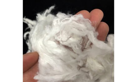 NITMA lauds removal of Anti-Dumping Duty on Viscose Staple Fibre