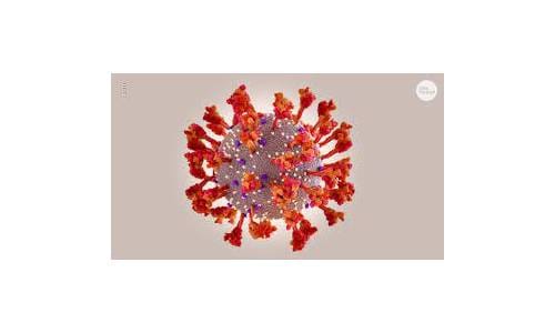 Future business expectations largely unchanged despite Omicron