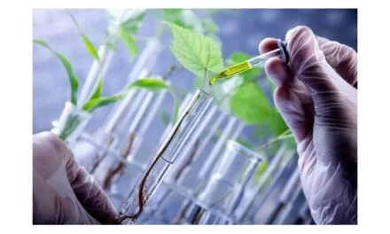 India’s Telangana State, will establish a cotton research centre in Adilabad