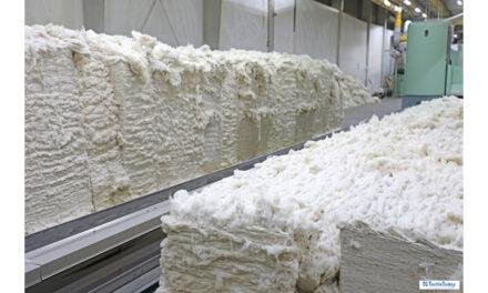 Indian textiles lose competitive edge as cotton prices hit record highs