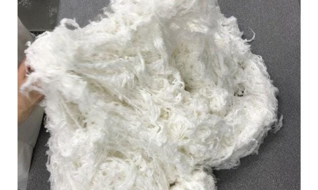 Collaboration agreement signed with Paradise Textiles for development of Nullarbor™ yarns and textiles