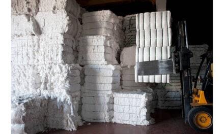 Readymade garment exporters want India to prohibit cotton exports