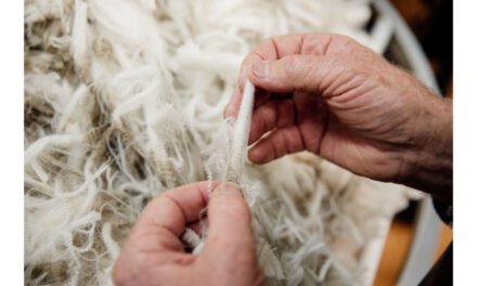 Regenerative wool is promoted by ZQRX and Land to Market