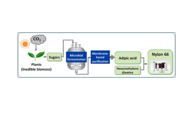 Nylon 66’s basic material is 100 percent biobased