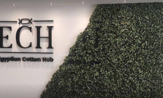 Egyptian Cotton Hub (ECH) joins ITMF as Corporate Member
