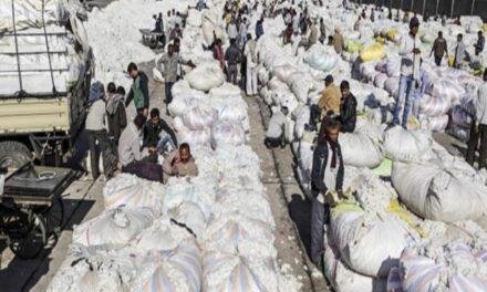 Indian industry body calls for expansion of duty-free cotton imports