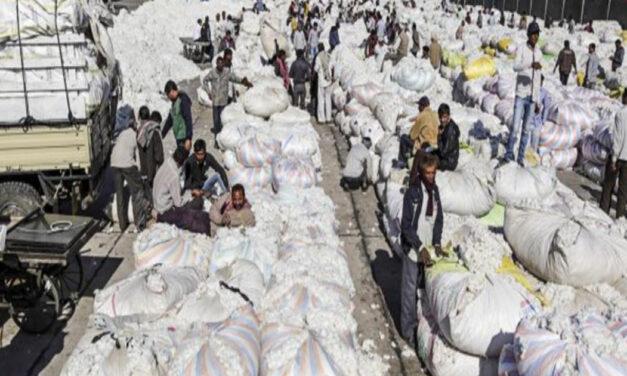 Indian industry body calls for expansion of duty-free cotton imports