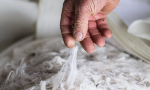 Chargers to deliver wearable technology to the clothing industry