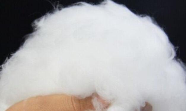 India’s Reliance cuts PSF price further for December