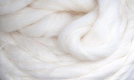 SIMA appeals to reject the abnormal ADD recommended on Viscose Staple Fibre