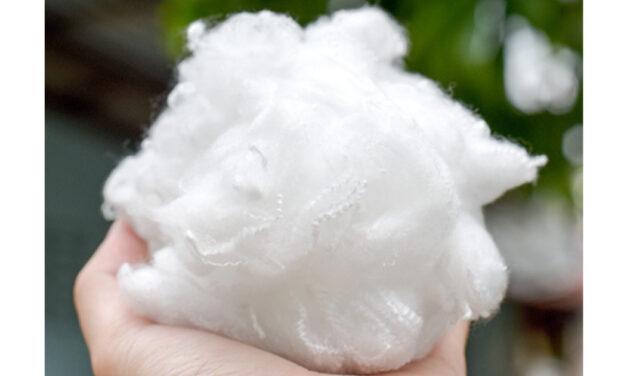 Kelheim Fibres welcomes EU agreement on deforestation-free supply chains