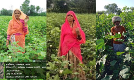 CITI- CDRA celebrates World Cotton Day with the 93000 Indian cotton farmers across the nation