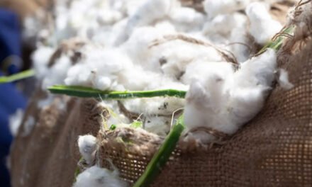International Cotton Association and TextileGenesis sign a MoU