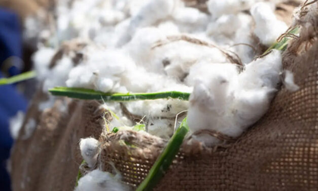 International Cotton Association and TextileGenesis sign a MoU