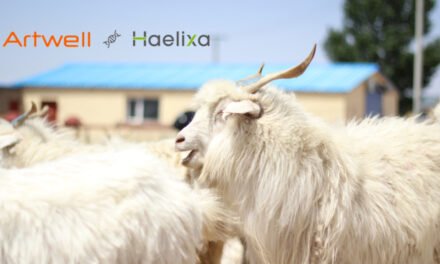 Transparency in cashmere with Artwell and Haelixa