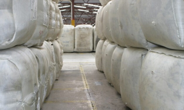 Australian wool market significant increases are seen in penultimate 2023 sale