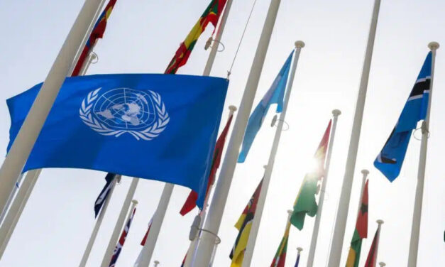 Better Cotton joins forces with UN initiative to empower SMEs in global supply chains