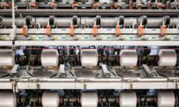 Fulgar validates the flagship yarn’s biodegradability