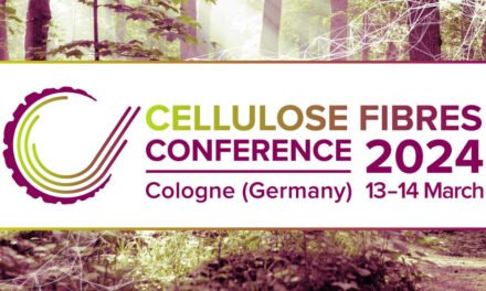 Cellulose Fibre Innovation of the Year 2024 award
