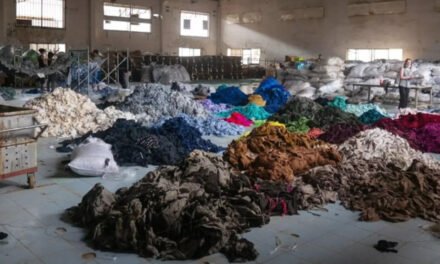 How recycling RMG waste could cut cotton imports by 15% – and earn billions