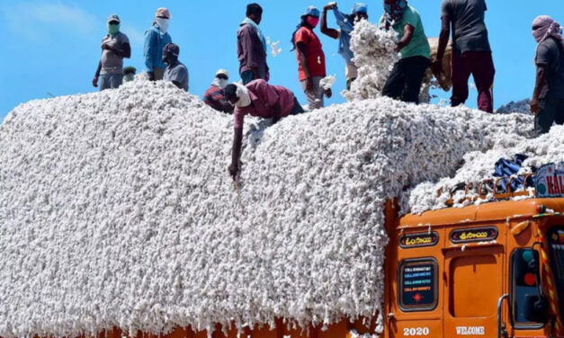 The reduction of import duties on ELS cotton is welcomed by the Indian textile sector