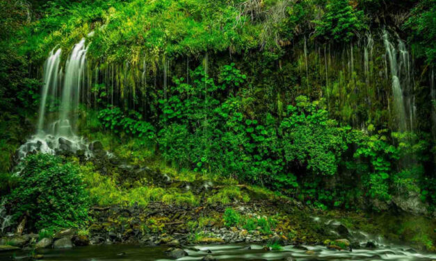 “Designing for Circularity” panel discussion comes to Functional Fabric Fair in Portland