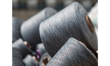 India’s cotton yarn and fabric exports grow by 7% to reach $11.7 bn in FY24