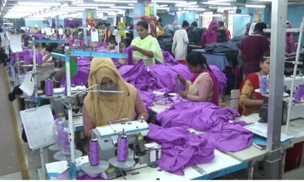 Bangladesh’s garment exports to EU increased by 3.66 percent