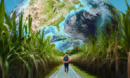 Hyosung TNC Partners with Geno in Development of Certified regen™ BIO Spandex