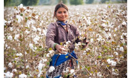 USDA forecasts 3% growth in global cotton consumption