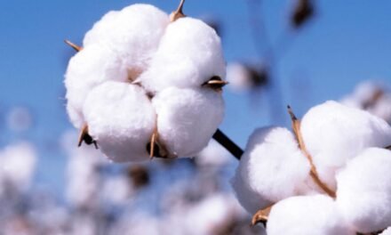 Advocating for removal of import duty on US cotton