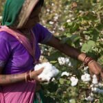 CITI and ILO to work towards promotion of FPRW among cotton growing community