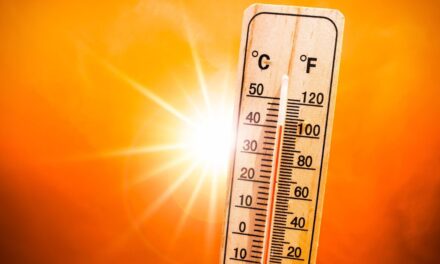 Heatwave aid for informal garment workers tested